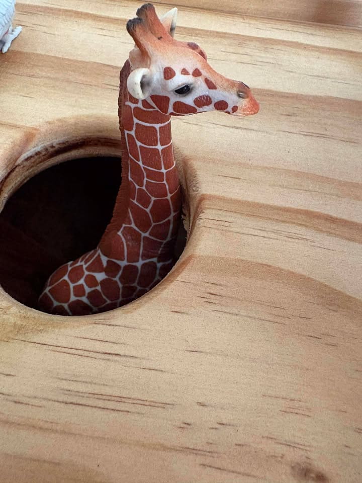 Giraffe Pocking head out of custom built wooden ark