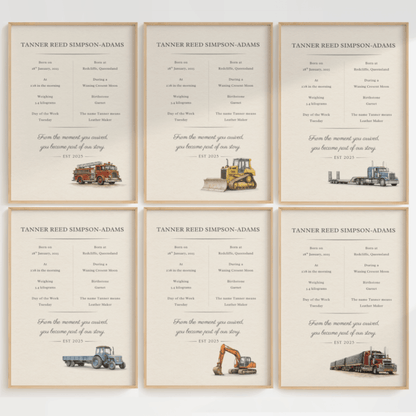 The Archival Birth Record Collection